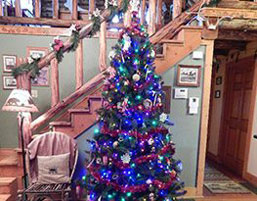 Possum Lodge Cabins - Photo of a Christmas tree at the cabin. We rent year round!